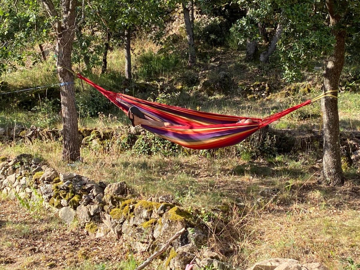 Ribes - Chalet Gite Au Coeur De La Nature Villa Sournia Dış mekan fotoğraf