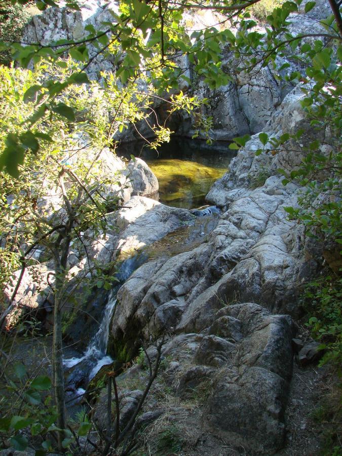 Ribes - Chalet Gite Au Coeur De La Nature Villa Sournia Dış mekan fotoğraf