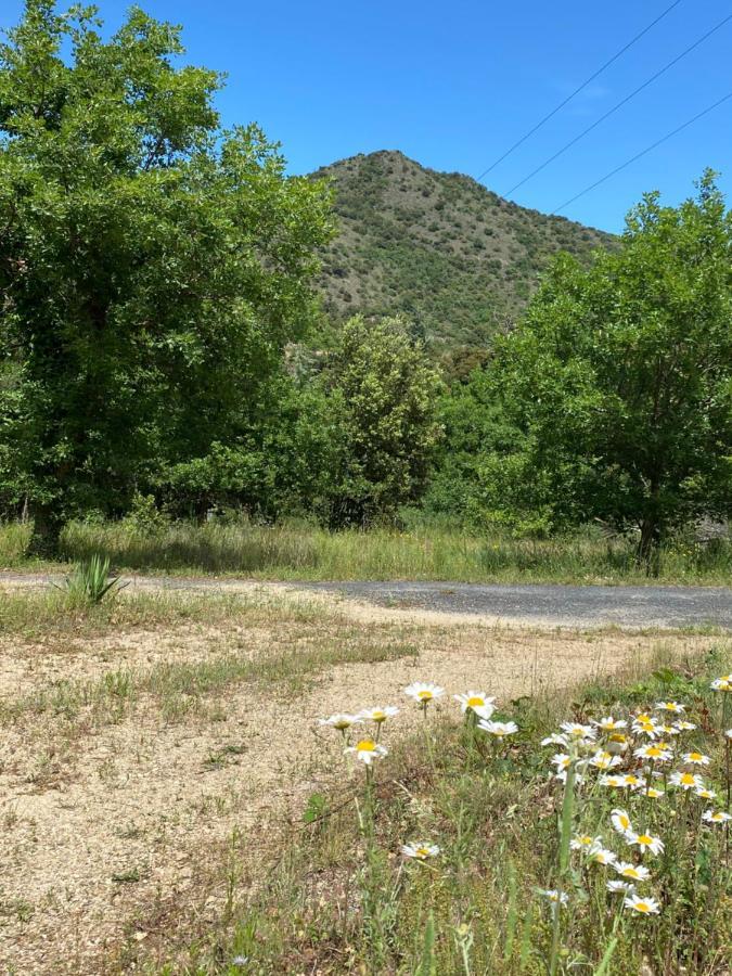 Ribes - Chalet Gite Au Coeur De La Nature Villa Sournia Dış mekan fotoğraf