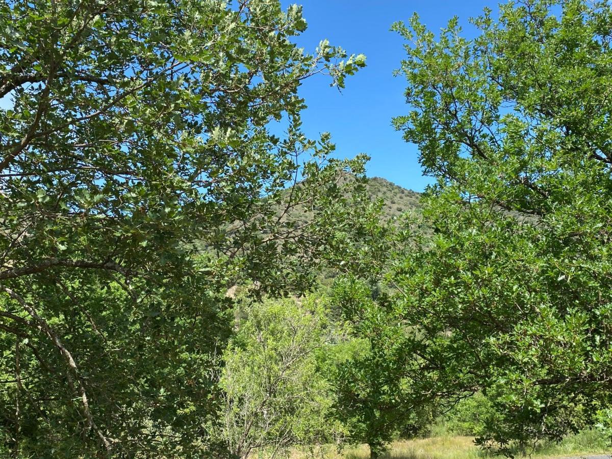 Ribes - Chalet Gite Au Coeur De La Nature Villa Sournia Dış mekan fotoğraf